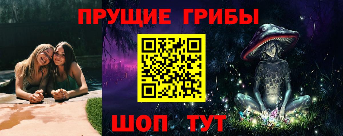 Псилоцибиновые грибы MAGIC MUSHROOMS  Вход с VPN  Знаменск  купить наркотик  Галлюциногенные грибы прущие грибы 