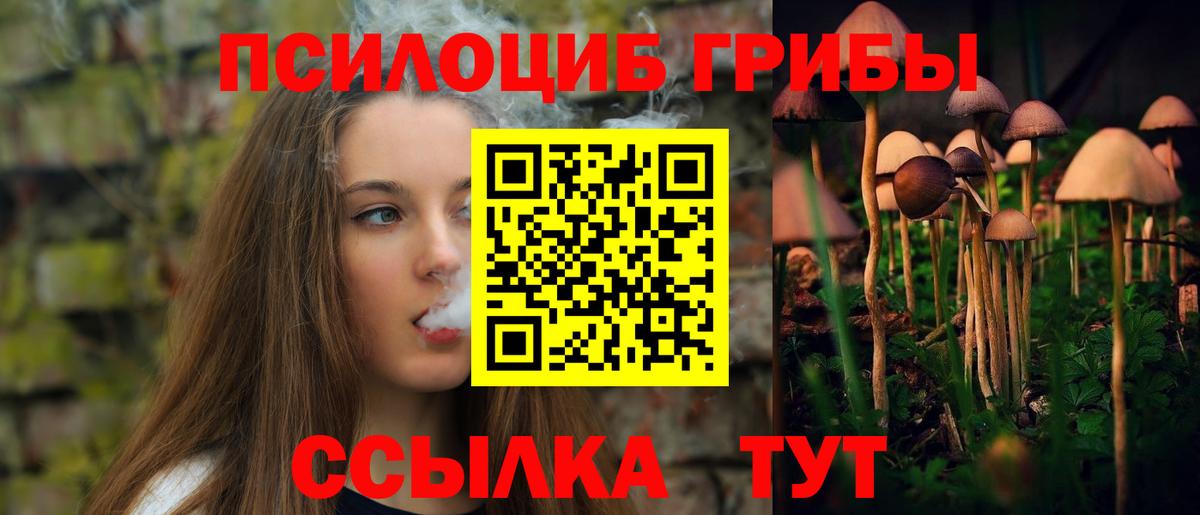 Галлюциногенные грибы Magic Shrooms  Псилоцибиновые грибы мицелий  Знаменск 