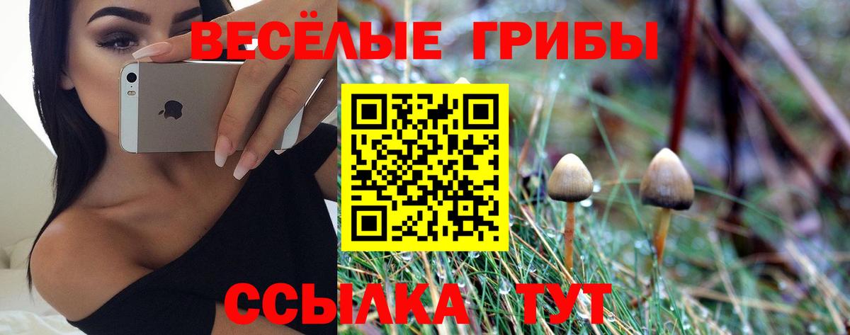 Псилоцибиновые грибы Magic Shrooms Знаменск